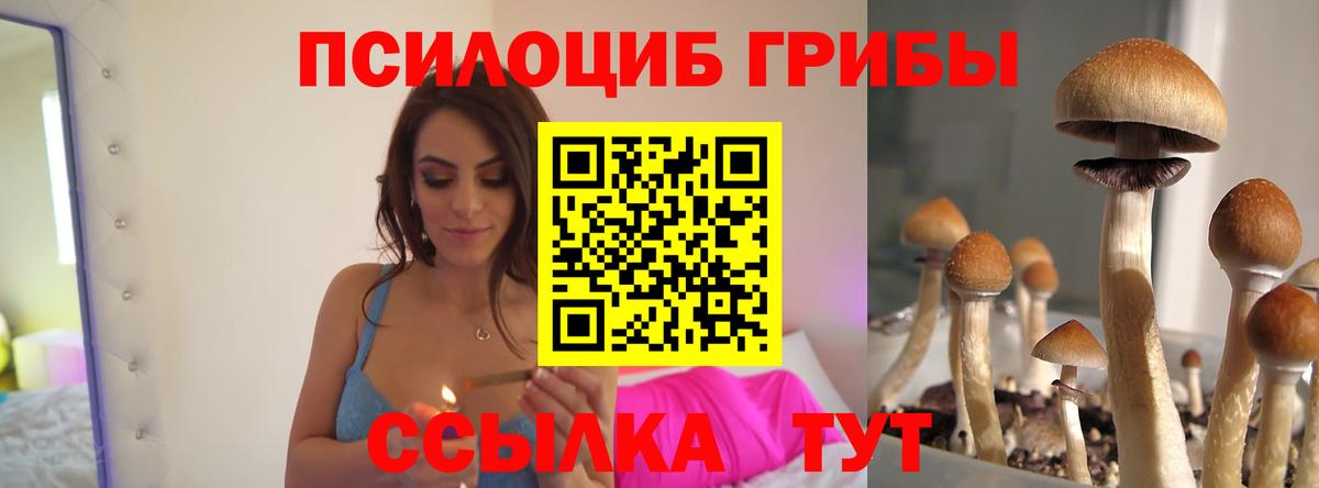 Галлюциногенные грибы GOLDEN TEACHER  Вход с VPN  Строитель 